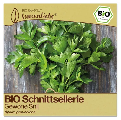 Produktbild von Samenliebe  Schnittsellerie Samen | Gewone Snij - zweijährig & intensiv aromatisch - samenfestes  Saatgut