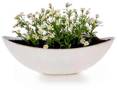 Produktbild von Große Vintage Outdoor Pflanzschale oval 34 cm creme-weiss