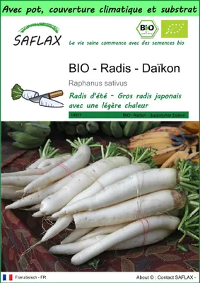 Image de SAFLAX Garden to go -- Radis - Daïkon - 100 graines - Raphanus