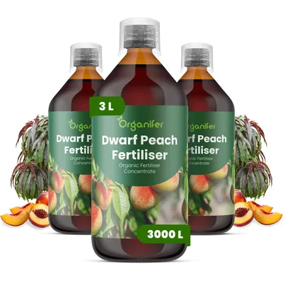 Obrázek produktu pro Trpasličia Broskyňa Tekuté Hnojivo 3x1 L – 2-1-8 NPK – Pro Ovocné Dreviny – Pro Zdravé Listy & Bujné Květy – Podporuje Kořeny & Vitalitu – Organifer