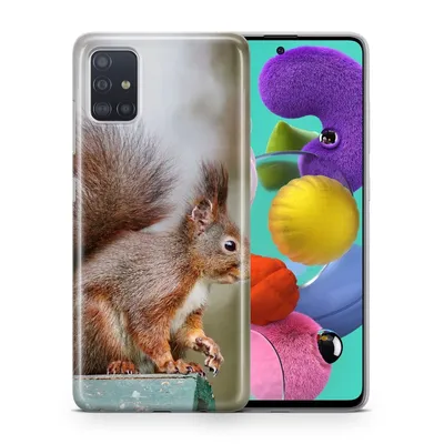 Zdjęcie produktu dla Etui na telefon komórkowy Nokia X100 Etui Pokrowiec Torba Zderzak Etui TPU, Model: Nokia X100, Wybierz wzór: Wiewiórka