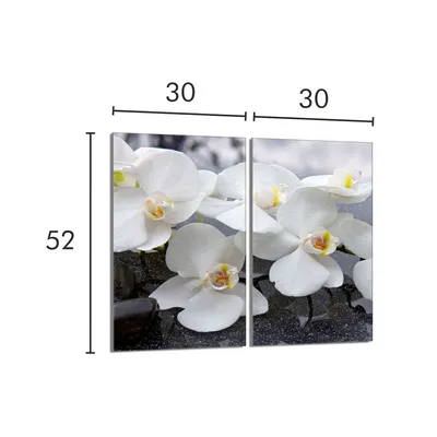 Imagen del producto de Placa de vitrocerámica protectora para cocina, 2x30x52 cm, marca Orchidea