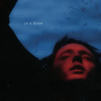 Zdjęcie produktu dla Troye Sivan - In A Dream (Anniversary Edition) (Red/Blue Coloured) (180 g) (LP)