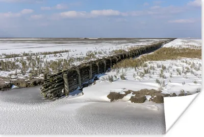 Produktbild von MuchoWow® Poster Schnee - Gras - Holz 120x80 cm - Bilder