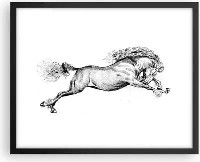 Produktbild von Gerahmtes Poster - Schwarzer Rahmen - Pferd Zeichnung Bleistift - 50x40 cm - Wand Bild - Wanddeko - Wandbilder - Kunstposter - Wandposter - Bilderrahmen - Bilder - Kunstdruck - P2BAA50x40-4906