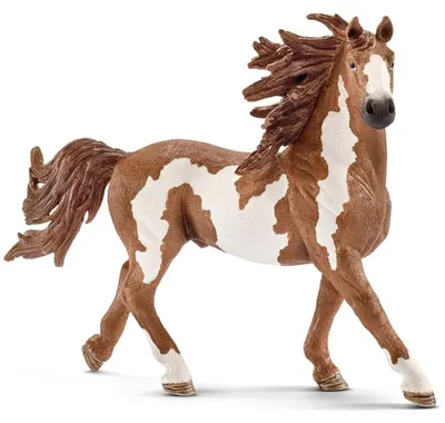 Image de Chaussures Schleich 13794 pour Enfant
