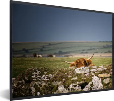 Produktbild von MuchoWow® Gerahmtes Poster Schottischer Highlander- Steine- Moos 80x60 cm - Poster mit Schwarzem Bilderrahmen Wandposter Rahmen Foto Bilder - Schwarzem - Mit Gestell