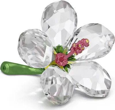 Obrázok produktu pre Swarovski Florere Hibiscus small 5690534 Novinka 2025