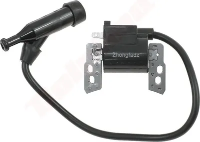 Zdjęcie produktu dla Cewka zapłonowa do Briggs & Stratton ( 816464 )