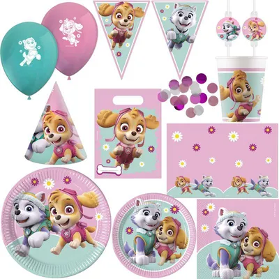 Produktbild von Skye & Everest Paw Partrol XL Partyset zum Kindergeburtstag Party Deko