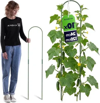 Obrázek produktu pro Zahradní opora v tvaru oblouku – stojan na rostliny do zahrady – odolná ocelová konstrukce – 120 cm – zelená