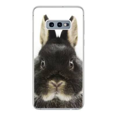 Produktbild von MuchoWow® Handyhülle Schutzhülle Hülle für Samsung Galaxy S10e Kaninchen - Haustiere - Fell Silikon Softcase Handy Hülle - Handy