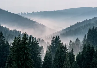 Produktbild von Vlies Fototapete Berge Landschaft 3D EFFEKT Wald Nebel Natur (368x254 cm - 4 Bahnen) inkl. Kleister - Tapete Wohnzimmer Schlafzimmer Flur Vliestapete Wandtapete Modern Latexdruck UV-Beständig Montagefertig