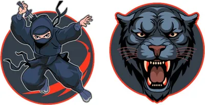 Produktbild von Schneiders Ninja und Panther Patches Set 2tlg.