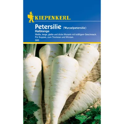 Produktbild von Kiepenkerl Wurzelpetersiliensamen Halblange