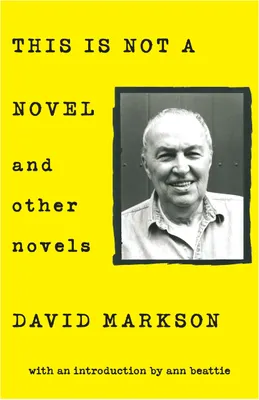 Produktbild von This Is Not a Novel and Other Novels