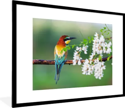 Produktbild von MuchoWow® Gerahmtes Poster Vogel - Bienenfresser - Blumen 80x60 cm - Poster mit Schwarzem Bilderrahmen Wandposter Rahmen Foto Bilder - Schlafzimmer-Dekorationen - Fotoposter