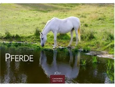 Immagine prodotto di Calendario cavalli 2027 - Calendario da parete | Calendario fotografico con animali, 24x35 cm, con 12 splendide foto di questi nobili animali