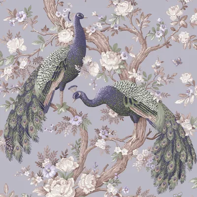 Produktbild von Vliestapete 115253 Laura Ashley Belvedere Pfau Lila