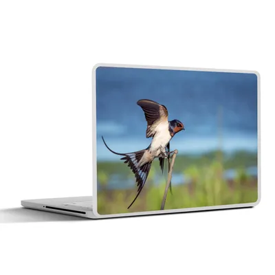 Produktbild von MuchoWow® Laptop Aufkleber Sticker Cover Vogel - Schwalbe - Fliegen 30x22 cm - Laptop-Sticker