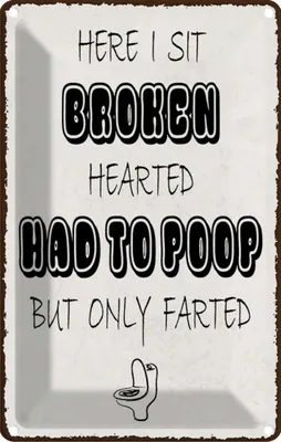 Immagine prodotto di vianmo Insegna di latta 30x20 cm here i sit broken hearted came