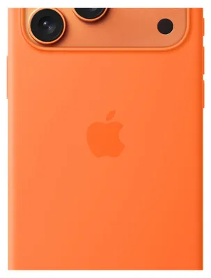 Immagine prodotto di Apple MGFL4ZM/A custodia per Apple iPhone 17 Pro Max Cover Arancione