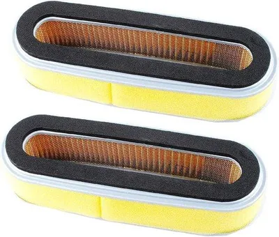 Productafbeelding van Vervangingsluchtfilters voor grasmaaiers met GV150, GV200 en GXV120 motoren, set van 2