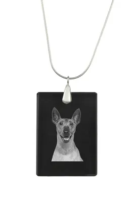 Produktbild von Mexikanischer Nackthund, Xoloitzcuintle, Xolo, Tepeizeuintli - Kristallanhänger mit Hund, Silberhalskette mit Foto, personalisierter Anhänger der Marke Art-Dog