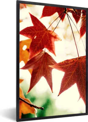 Produktbild von MuchoWow® Gerahmtes Poster Herbstblätter - November - Natur - Bäume 60x90 cm - Poster mit Schwarzem Bilderrahmen Wandposter Rahmen Foto Bilder - Kunst