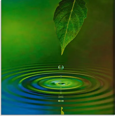 Produktbild von ARTland Glasbild Wassertropfen Größe: 30x30 cm