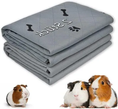 Produktbild von Waschbare Sehnenpad mit Meerschweinchen Unterstützung