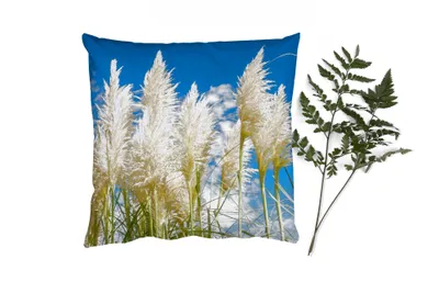 Produktbild von MuchoWow® Zierkissen Sofakissen Wohnzimmer Dekokissen 60x60 cm Pampasgras - Pflanze - Natur - Sitzfläche - Foto Polster