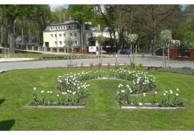Immagine prodotto di Bordure per aiuole ultra forte in alluminio 24cm x 100cm | Aiuole giardino | Bordure per giardino