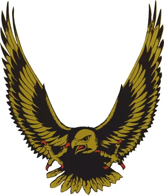 Produktbild von Hermann Schütz Aufkleber Adler gold 125x100mm