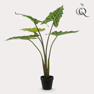Image de Green boutiQ - Plante artificielle - Alocasia Frydek - Olifantsoor - 80 cm - Vert - Sans entretien - Haute qualité