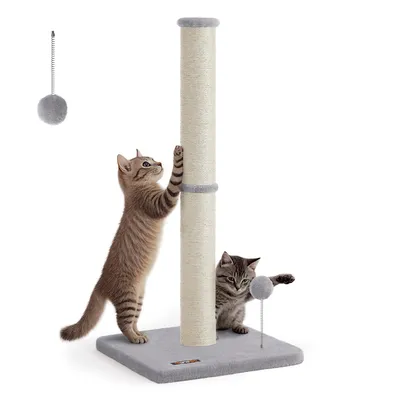 Two kittens playing with a scratching post and toys.