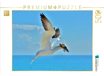 Produktbild von CALVENDO Puzzle Basstölpel im Landeanflug | 500 Teile Lege-Größe 48 × 36 cm Foto-Puzzle für Erwachsene
