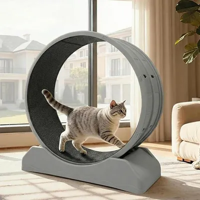 Produktbild von Katzenlaufrad 80cm aus PP, Super Leises Laufrad Katzen mit Verriegelung, Indoor Katzenlaufband für Fitness & Training, Platzsparendes für Wohnungskatzen