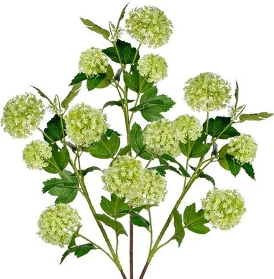 Productafbeelding van Unyqoos® 3-delige set kunstplant Viburnum-bloemen, 77 cm – realistische kunstbloemen met metalen/kunststof stelen, onderhoudsvriendelijke decoratie voor binnen en evenementen
