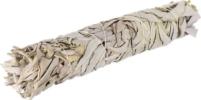 1x Xxl Weißer Salbei White Sage Smudge Stick 24cm 9,5" Salvia Apaina 80g 6723
