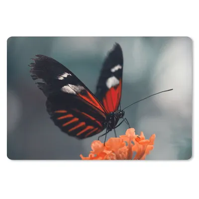 Produktbild von MuchoWow® Mauspad Mousepad Schmetterling - Blume - Insekt 27x18 cm - Mousepads - Maus Mat - Pad - Mausunterlage - Büroartikel - Desk Matten
