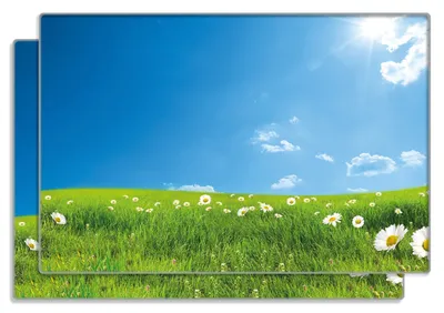 Produktbild von Wallario Frühstücksbrettchen 2er Set aus Glas, je 20 x 30 cm, mit rutschfesten Füßen, Motiv Sommerwiese - Weiße Gänseblümchen vor blauem Himmel