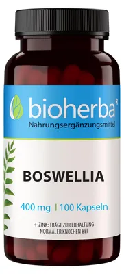 Produktbild von Bioherba Boswellia 400 mg 100 Kapseln