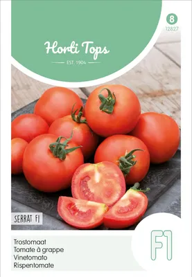 Produktbild von Rispentomate Serrat | Tomatensamen von Hortitops