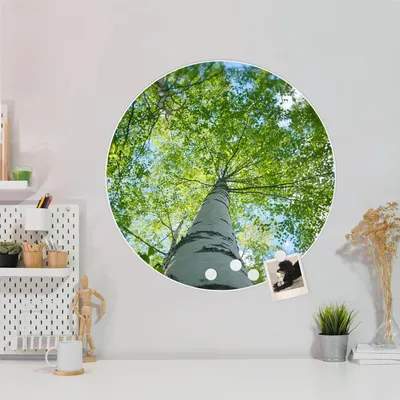 Produktbild von Design Stahlmagnettafel Weiß Rund 47cm Zwischen Bäumen 5
