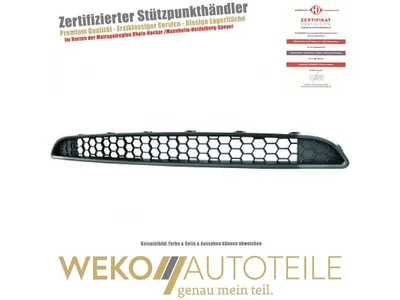 Produktbild von Kühlergitter DIEDERICHS 3457140 passend für FIAT