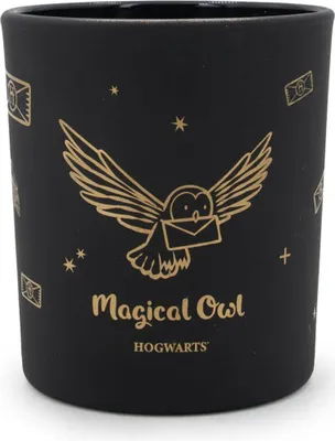 Produktbild von Harry Potter™ Duftkerze Magical Owl Black, HxBxT: 8,3x7,4x7,4 cm, Glas, Paraffinwachs, Geschenkkerze mit Eulenmotiv