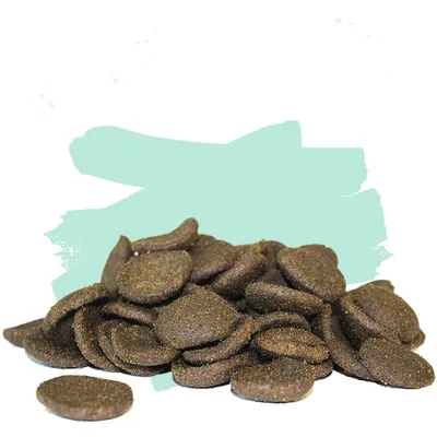 Hanzam | Koisnack, Koitaler, Koikeks