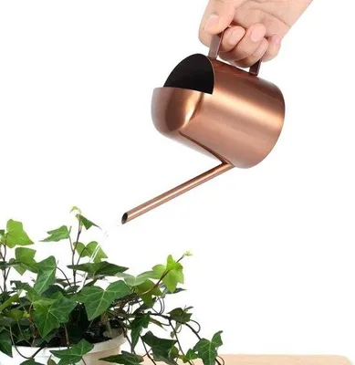 Immagine prodotto di piccolo annaffiatoio in acciaio inox da 300 ml con beccuccio lungo - ideale per fiori e uso domestico