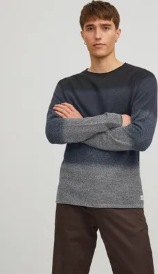 Immagine prodotto di Maglia a maniche lunghe Maglia in cotone JJEHILL |